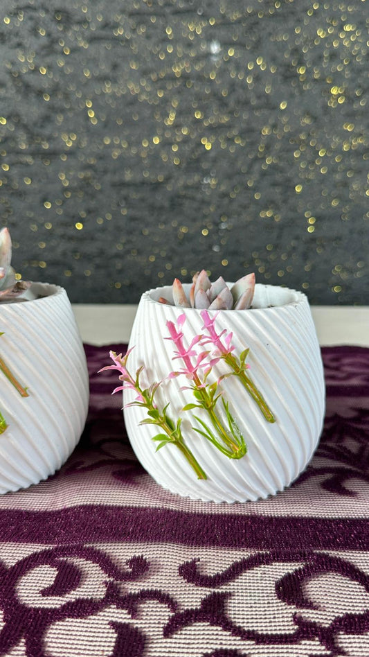 Dekoratif Vazolu Mini Sukulent Seti (2’li)