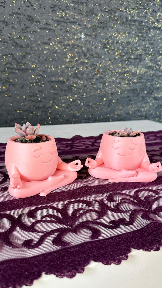 mini-yoga-saksi-2li-opalina-sukulent-seti1