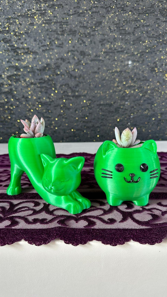 sevimli-kedi-figur-saksi-opalina-sukulent-2li-set1