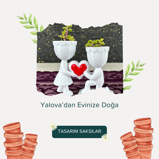 yalovada-yetistirilen-kaktusler-dogrudan-ureticiden-evinize