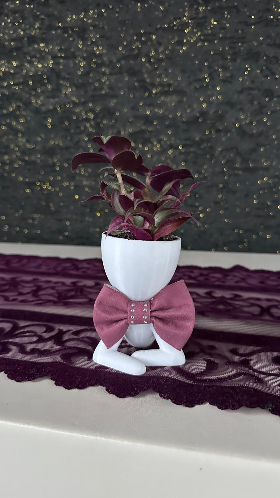 Centilmen Erkek Figür Saksıda Mor Yapraklı Tradescantia Zebrina Beyaz