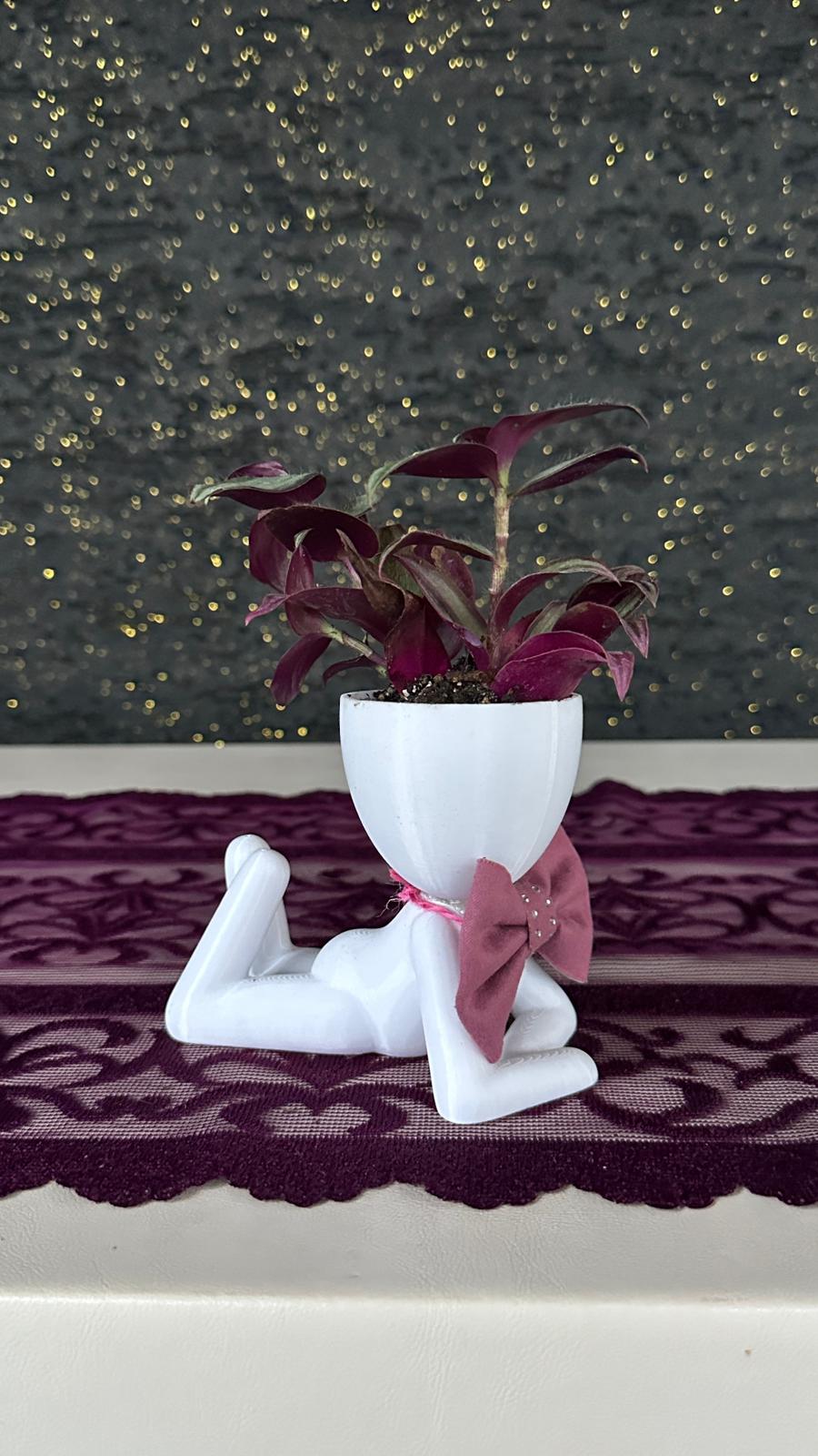 Centilmen Erkek Figür Saksıda Mor Yapraklı Tradescantia Zebrina