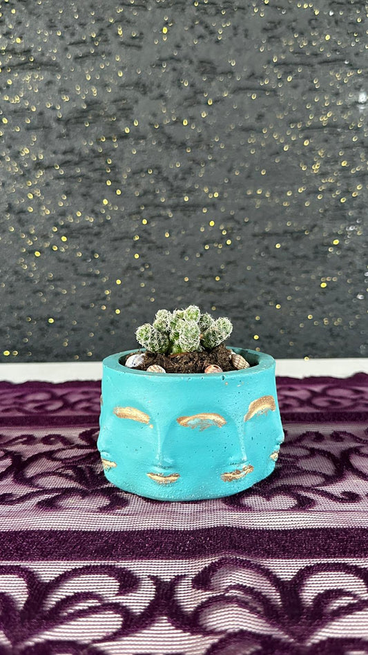 Dekoratif Mini Saksılı Yüksük Kaktüs Mammillaria Gracilis
