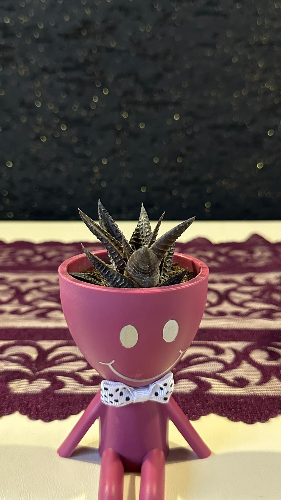 Mini Huzur Bahçesi