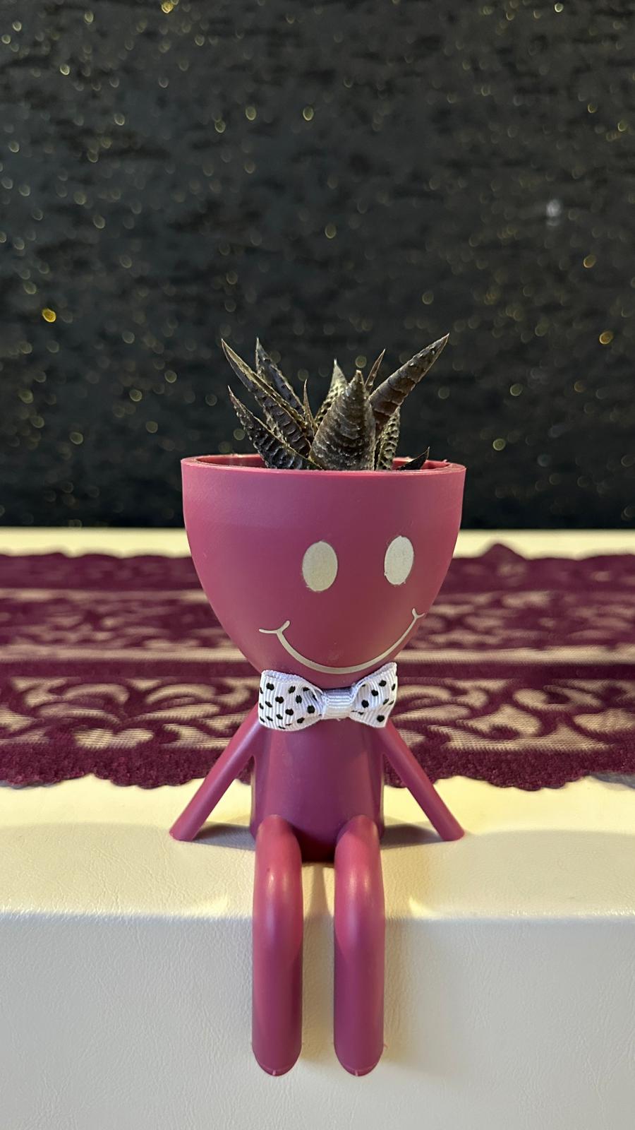Mini Huzur Bahçesi 1.Çiçek