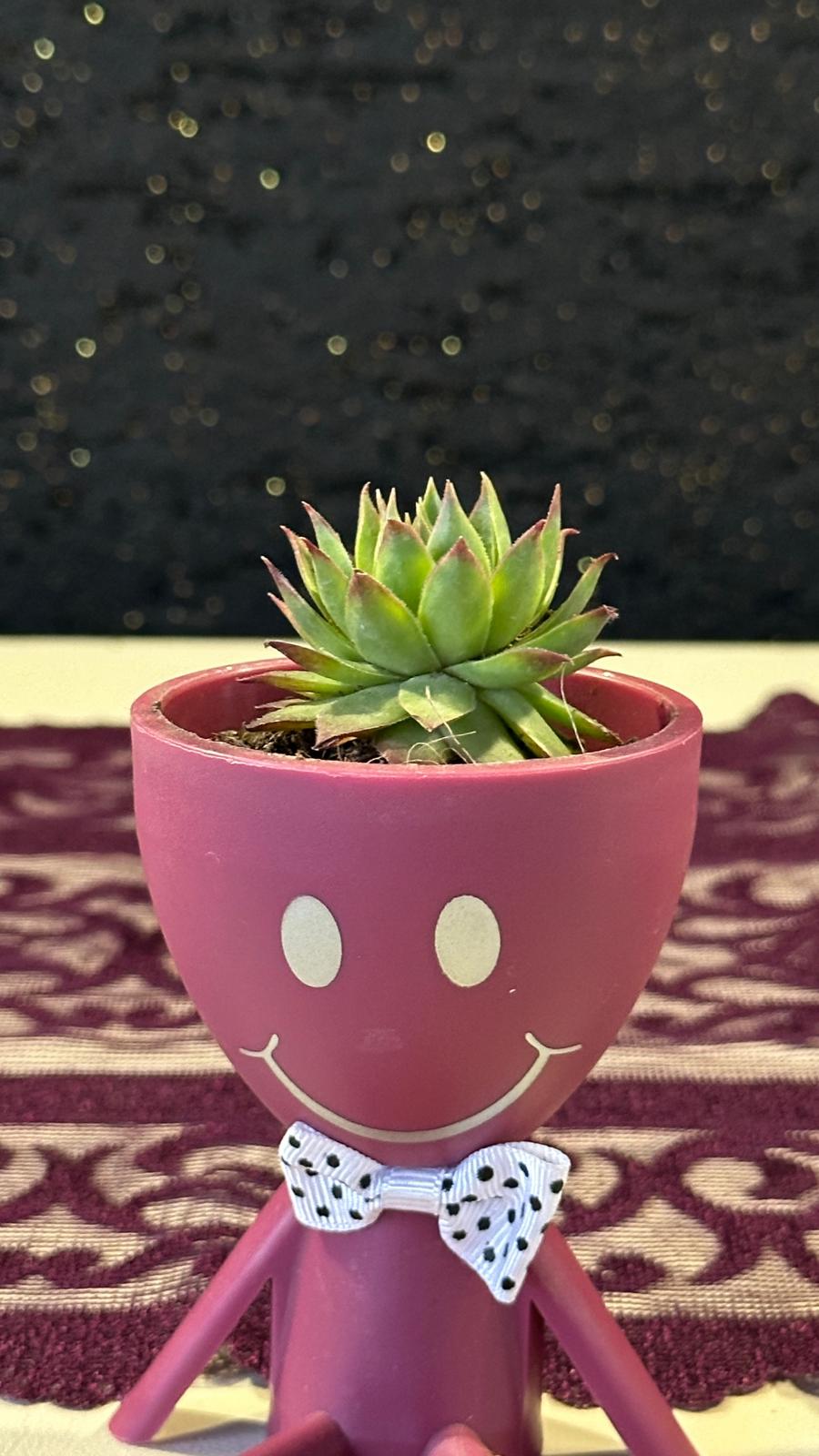 Mini Huzur Bahçesi