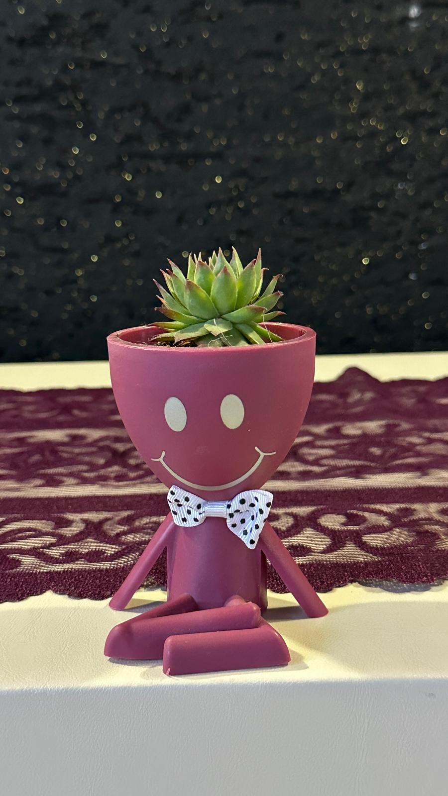 Mini Huzur Bahçesi 2.Çiçek