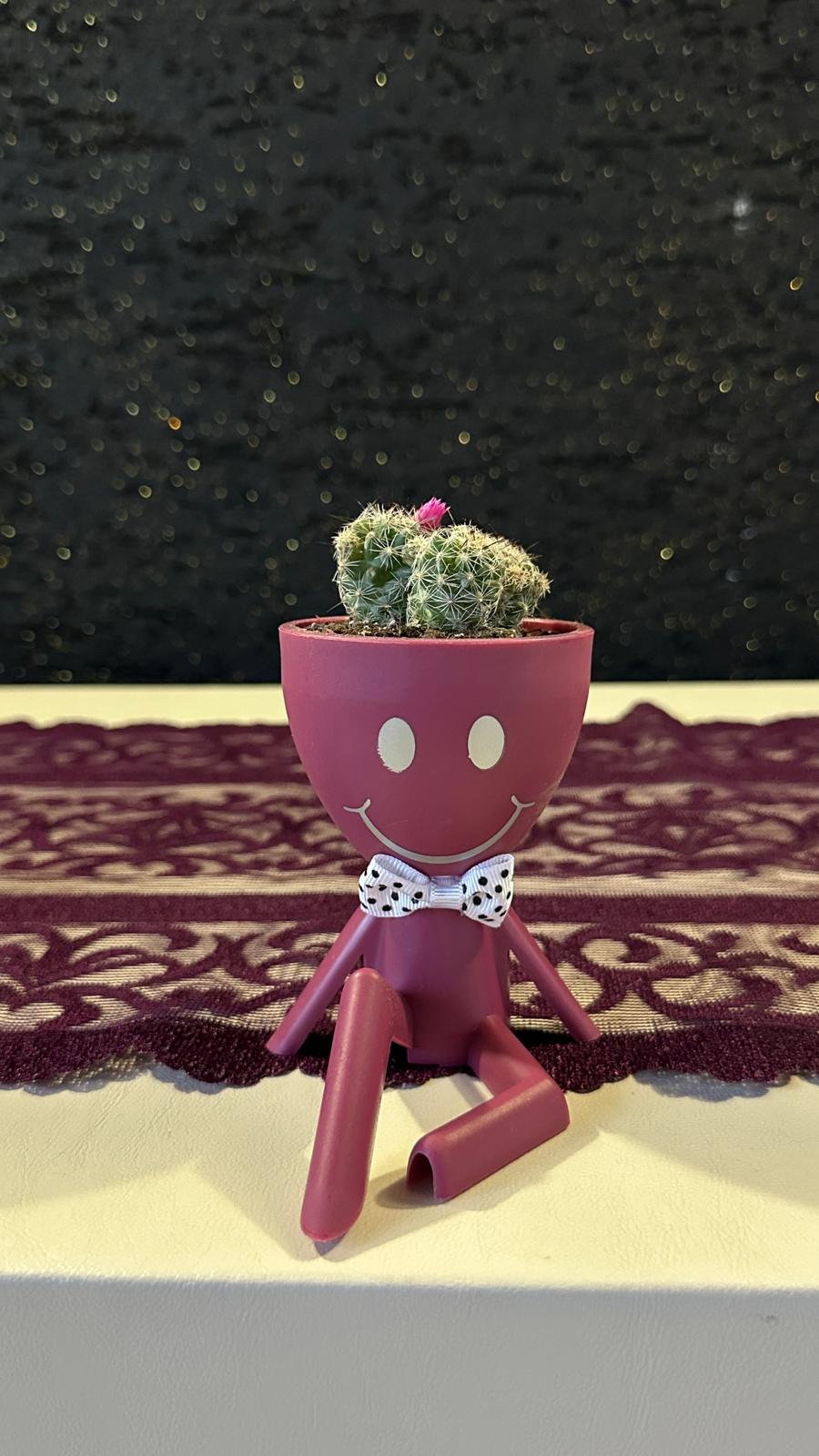 Mini Huzur Bahçesi 3.Çiçek