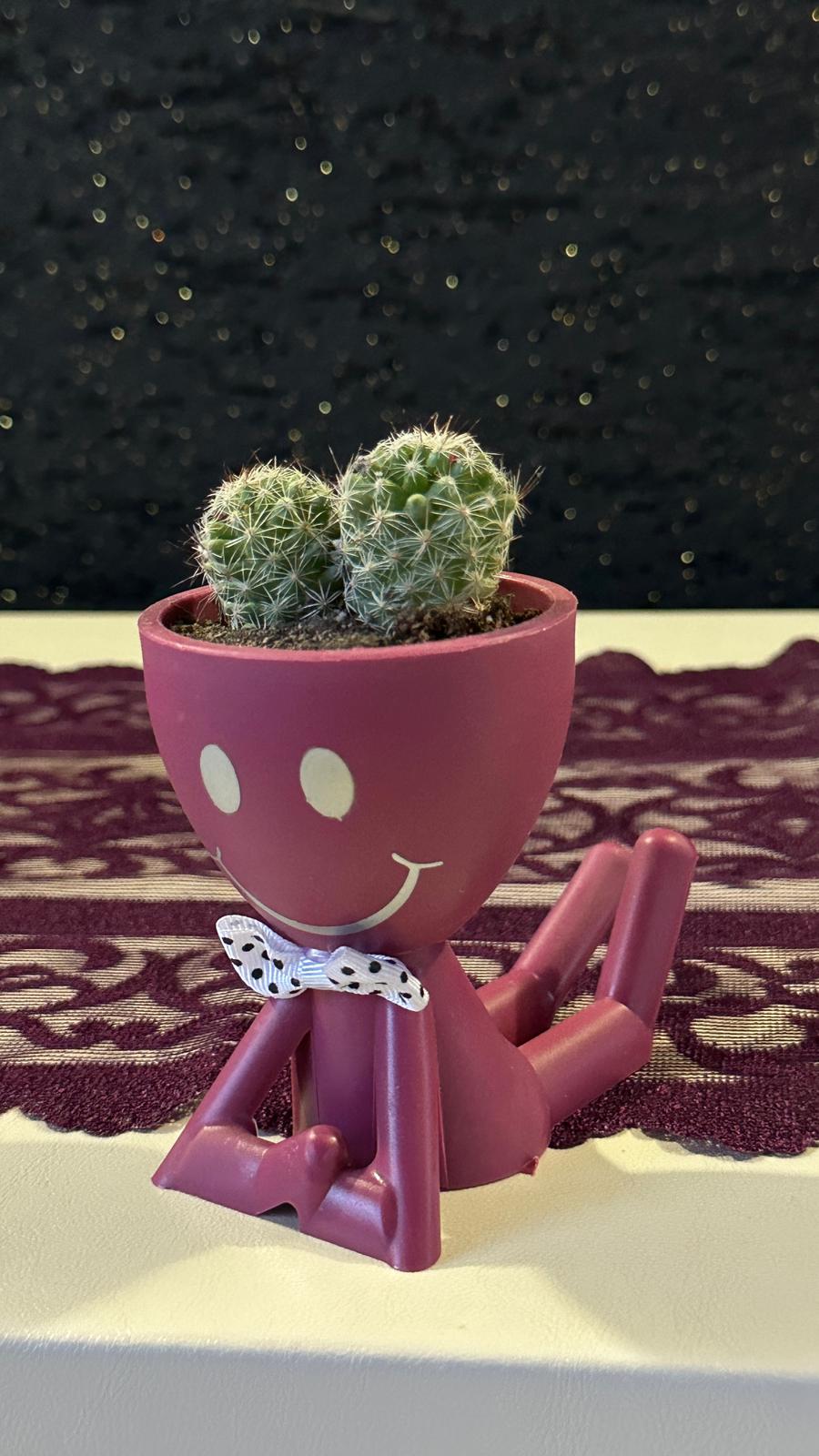Mini Huzur Bahçesi 4.Çiçek