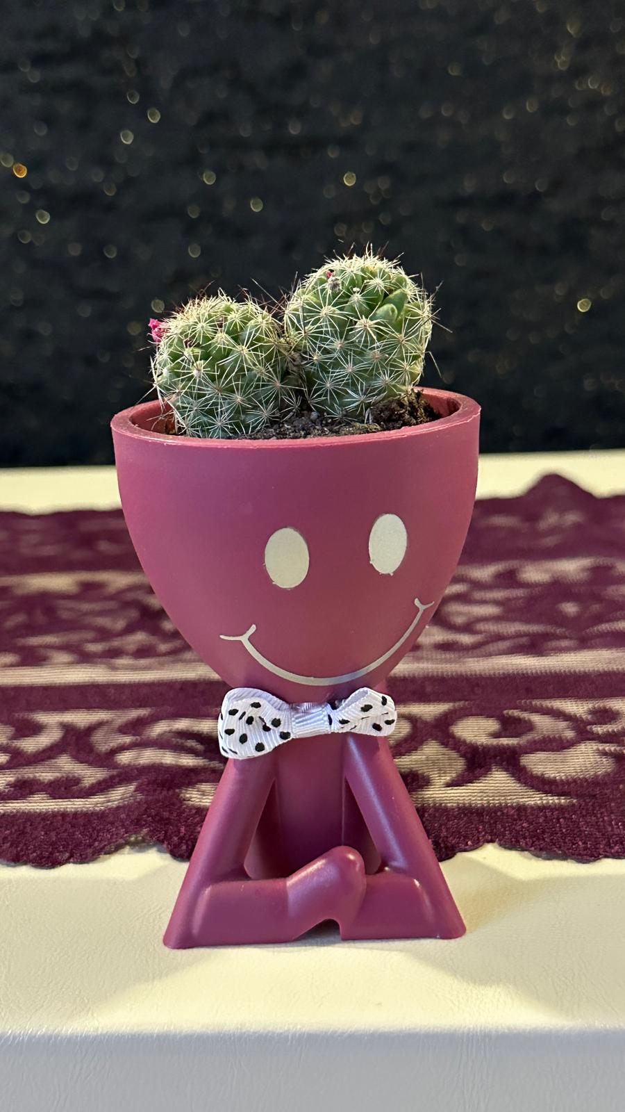 Mini Huzur Bahçesi