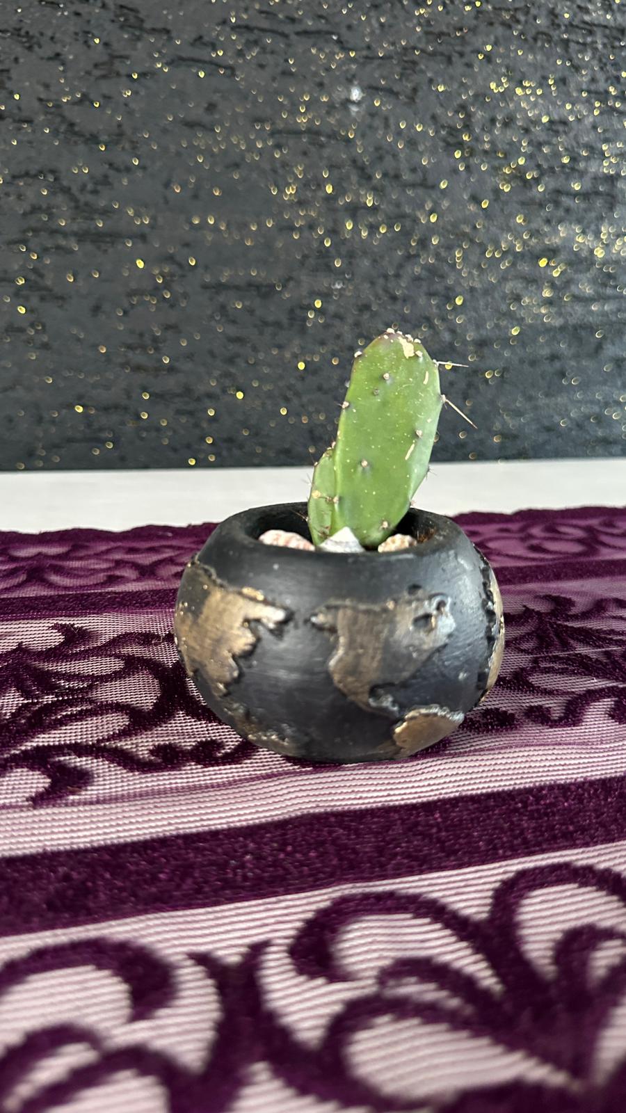Mini Opuntia Kaktüs