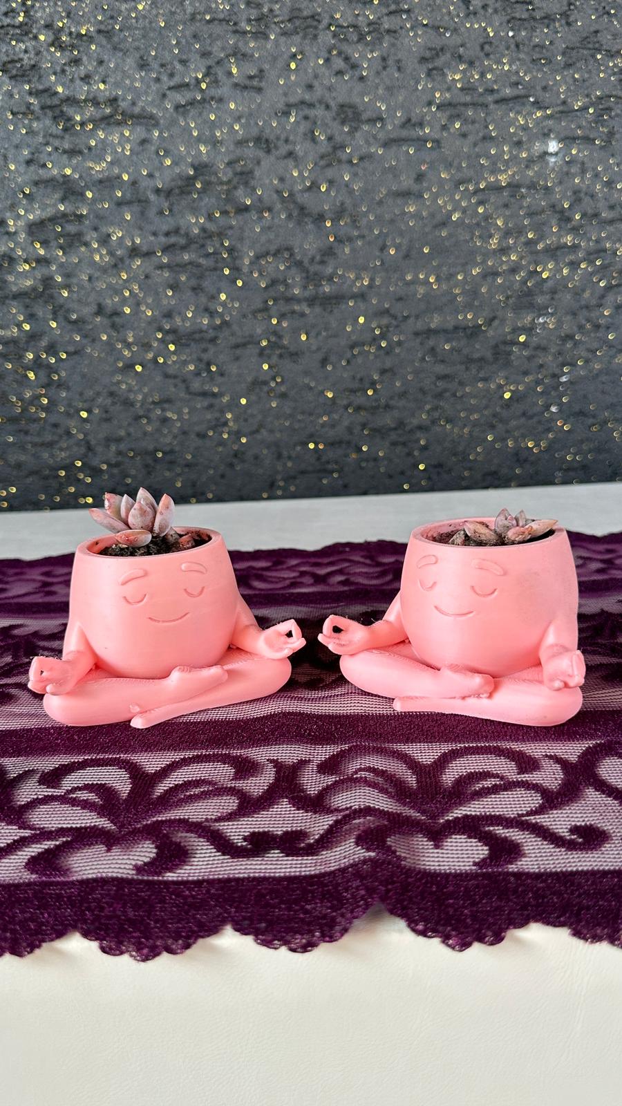 Mini Yoga Saksı 2’li Opalina Sukulent Set 3D