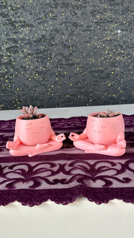 mini-yoga-saksi-2li-opalina-sukulent-seti