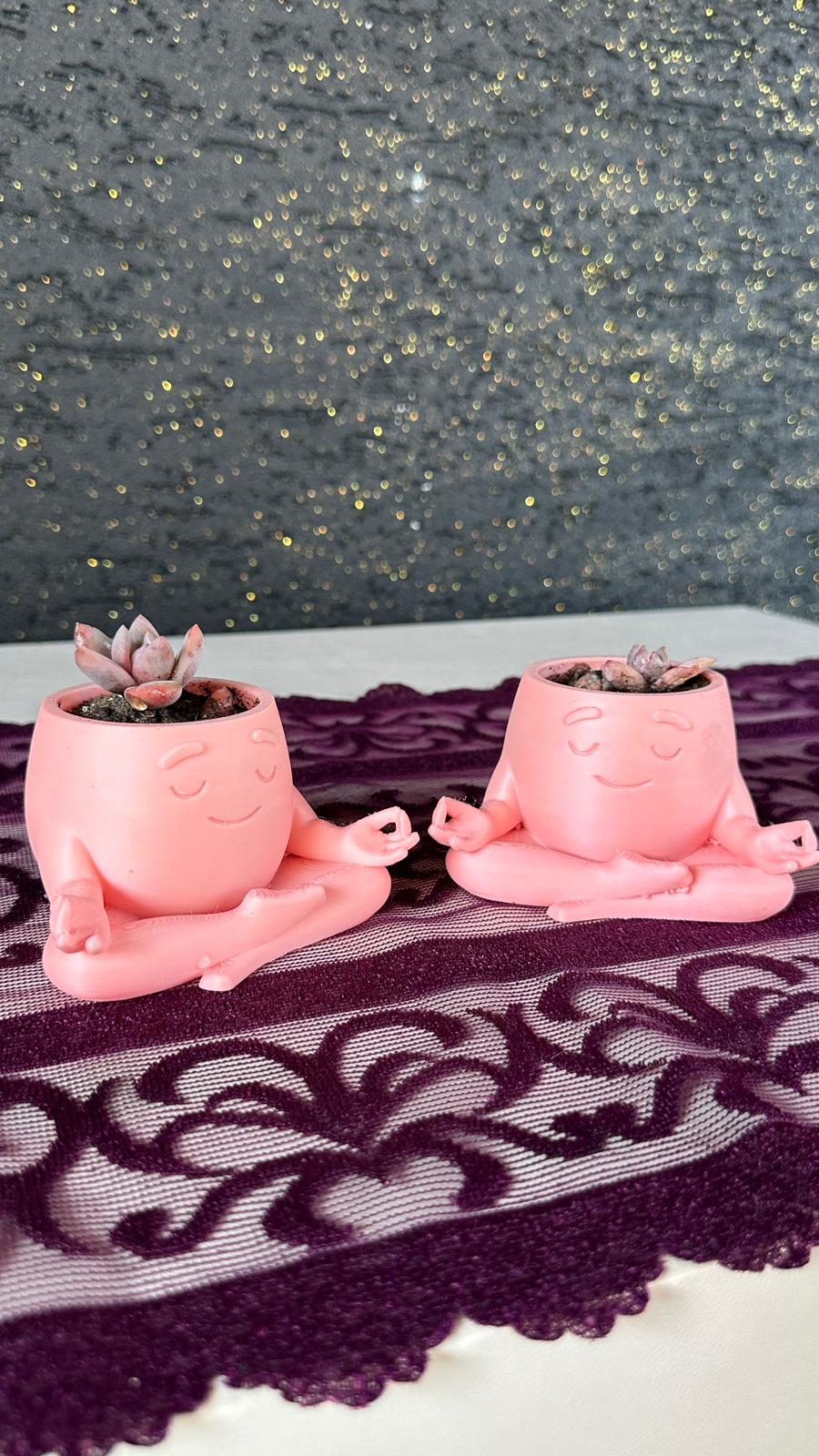 Mini Yoga Saksı 2’li Opalina Sukulent Set
