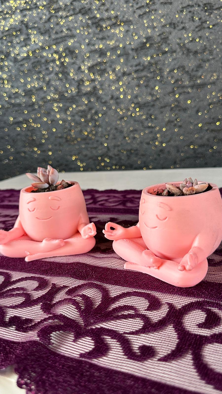 Mini Yoga Saksı 2’li Opalina Sukulent Set