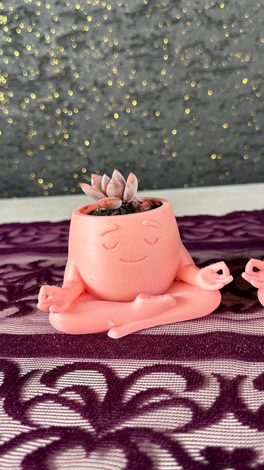 Mini Yoga Saksı 2’li Opalina Sukulent Set