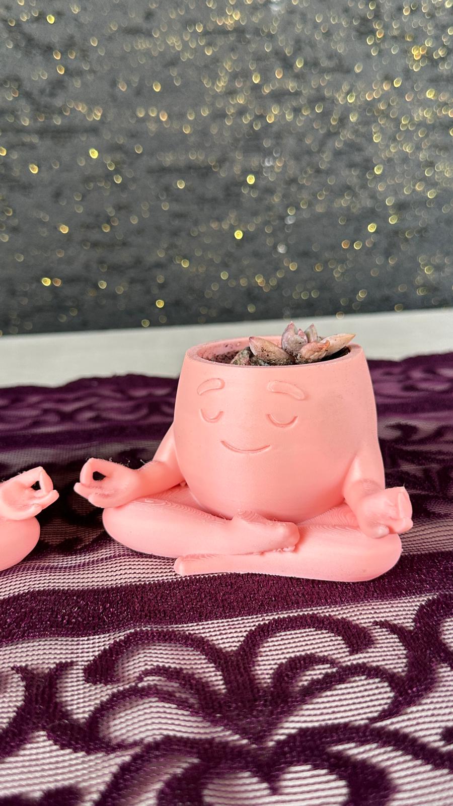Mini Yoga Saksı 2’li Opalina Sukulent Set