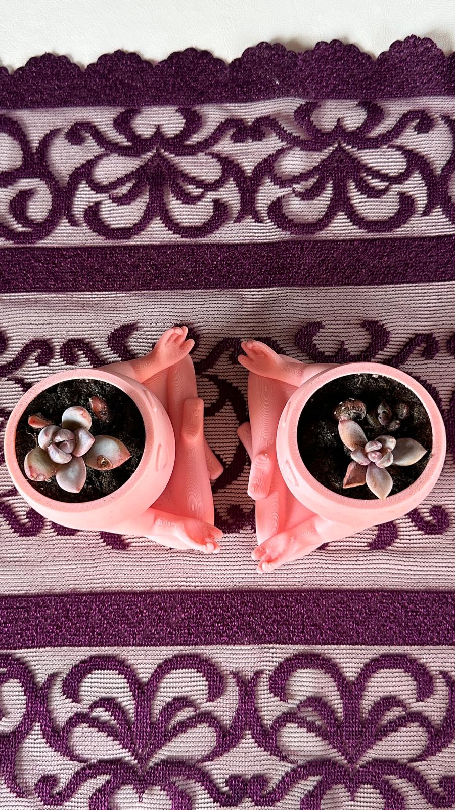 Mini Yoga Saksı 2’li Opalina Sukulent Set