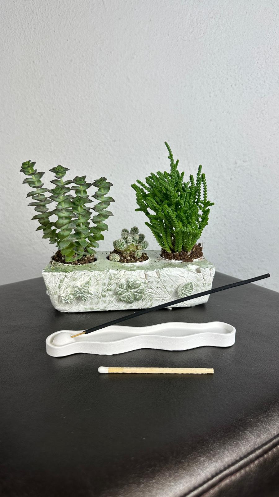 NuNu By Green Harmony Trio Set