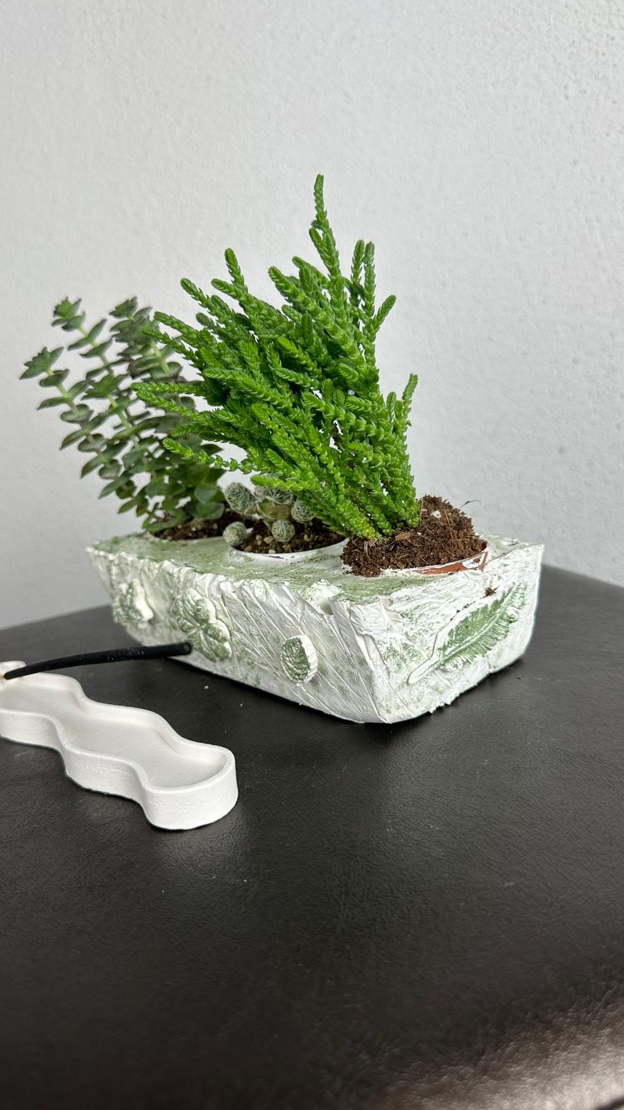 NuNu By Green Harmony Trio Set