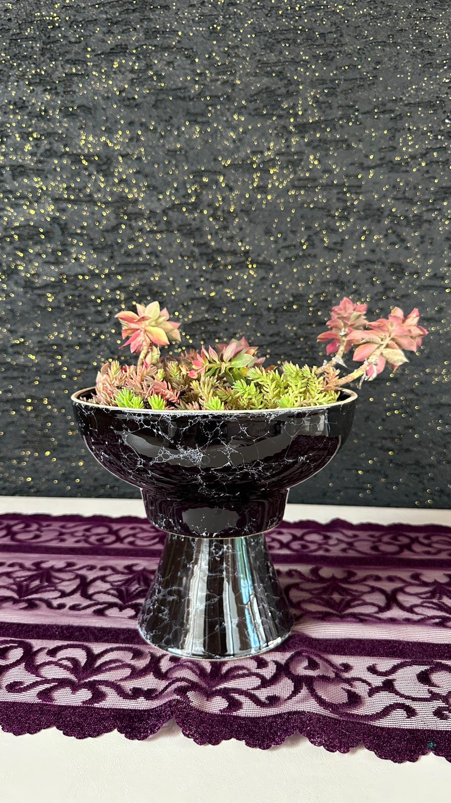 NuNu By Noir Garden Dekoratif Sukulent Aranjmanı Baskılı