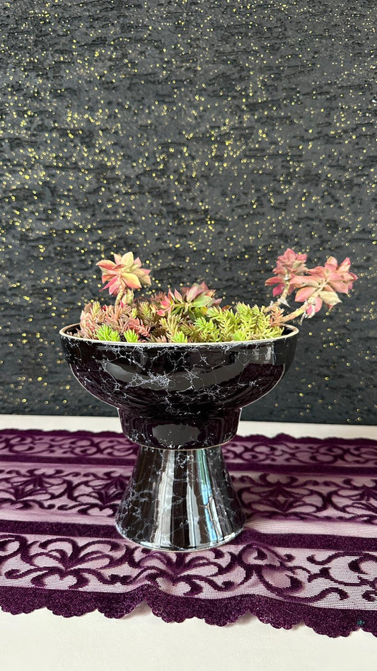 NuNu By Noir Garden Dekoratif Sukulent Aranjmanı Baskılı