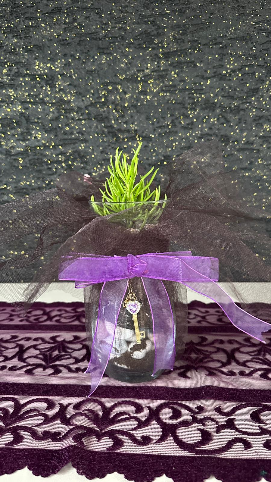 NuNu By Secret Garden Anahtarlı Cam Sukulent Yeşil