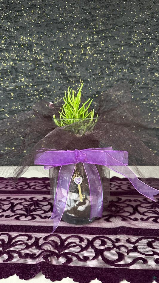 NuNu By Secret Garden Anahtarlı Cam Sukulent Yeşil