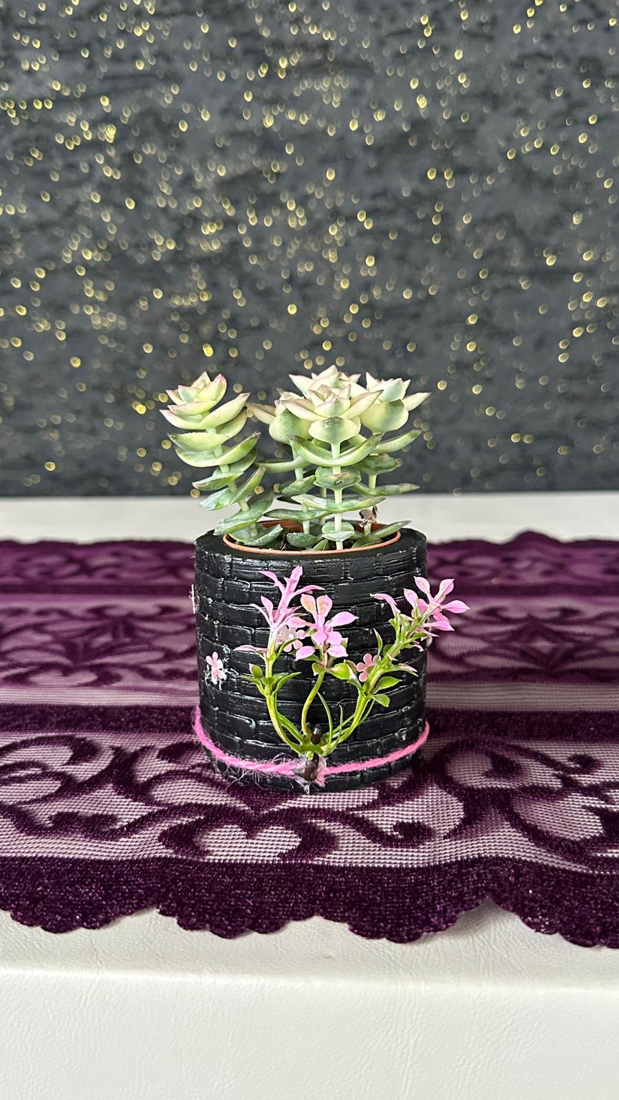 NuNu By Vintage Bloom Saksılı Sukulent