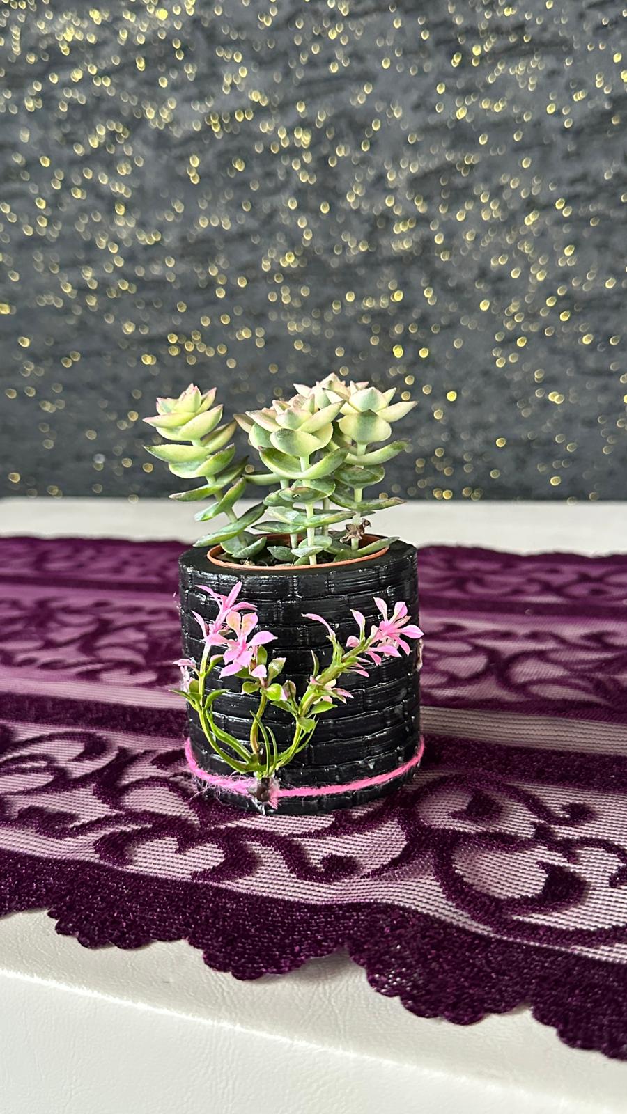 NuNu By Vintage Bloom Saksılı Sukulent