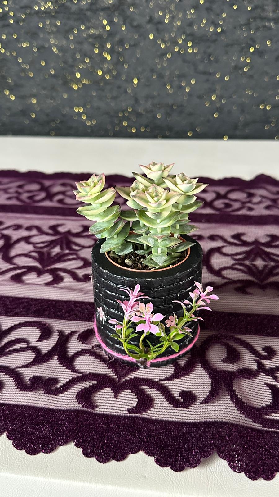 NuNu By Vintage Bloom Saksılı Sukulent