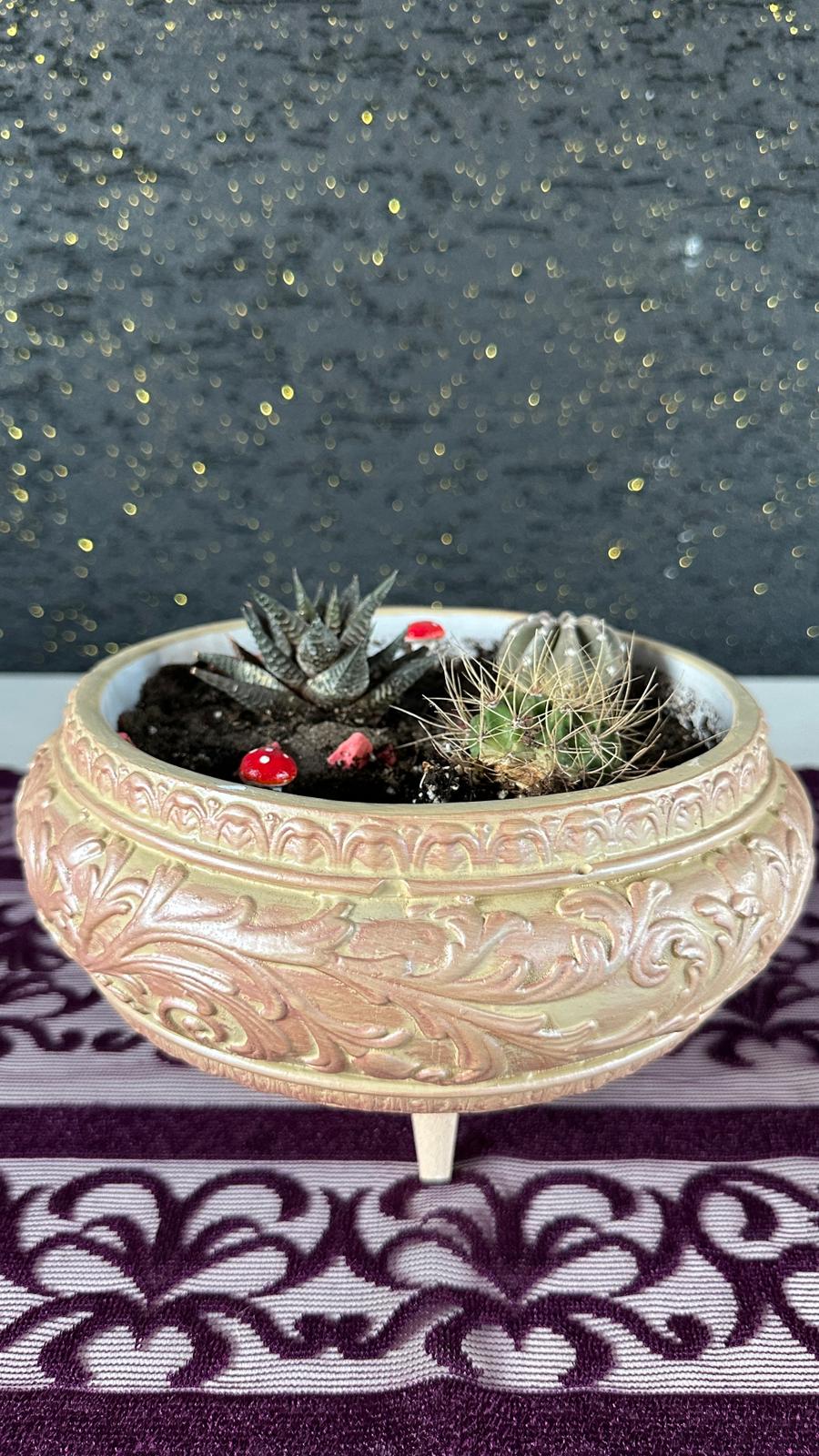 Premium Kaktüs Sukulent Aranjmanı