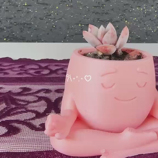 mini-yoga-saksi-2li-opalina-sukulent-seti-video
