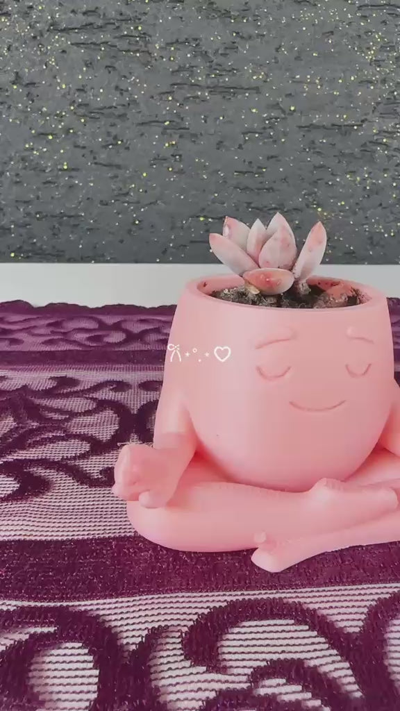 mini-yoga-saksi-2li-opalina-sukulent-seti-video