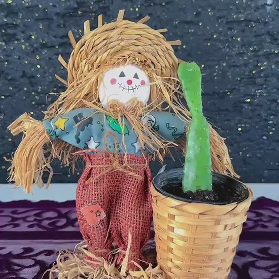 korkuluk-figurlu-opuntia-kaktus-video