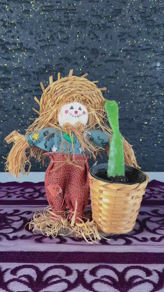 korkuluk-figurlu-opuntia-kaktus-video