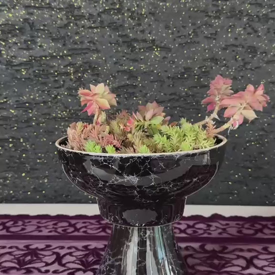 nunu-by-noir-garden-dekoratif-sukulent-aranjmani-video