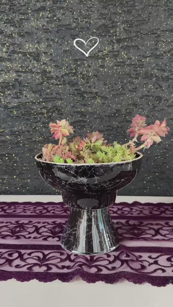 nunu-by-noir-garden-dekoratif-sukulent-aranjmani-video