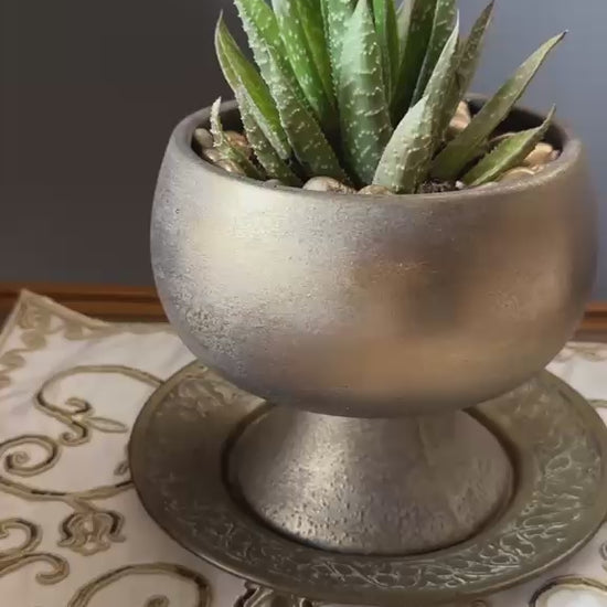 nunu-by-gold-touch-saksili-aloe-sukulent-video