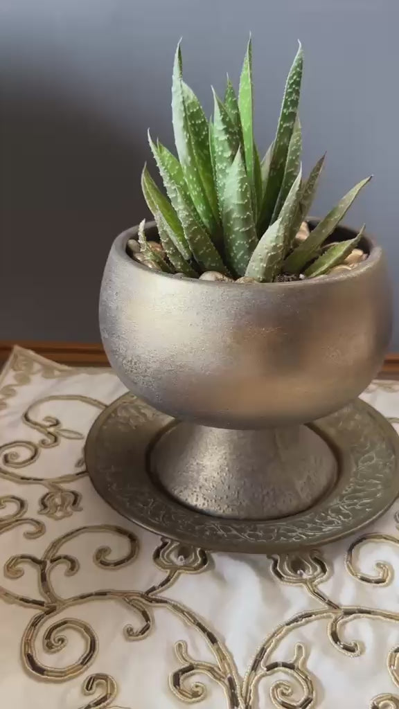 nunu-by-gold-touch-saksili-aloe-sukulent-video