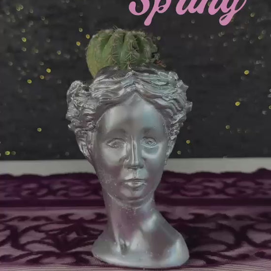 helen-bust-saksida-kaktus4-video