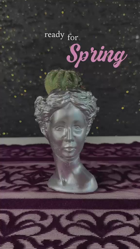 helen-bust-saksida-kaktus4-video