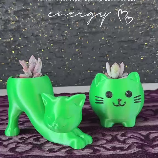 sevimli-kedi-figur-saksi-opalina-sukulent-2li-set-video