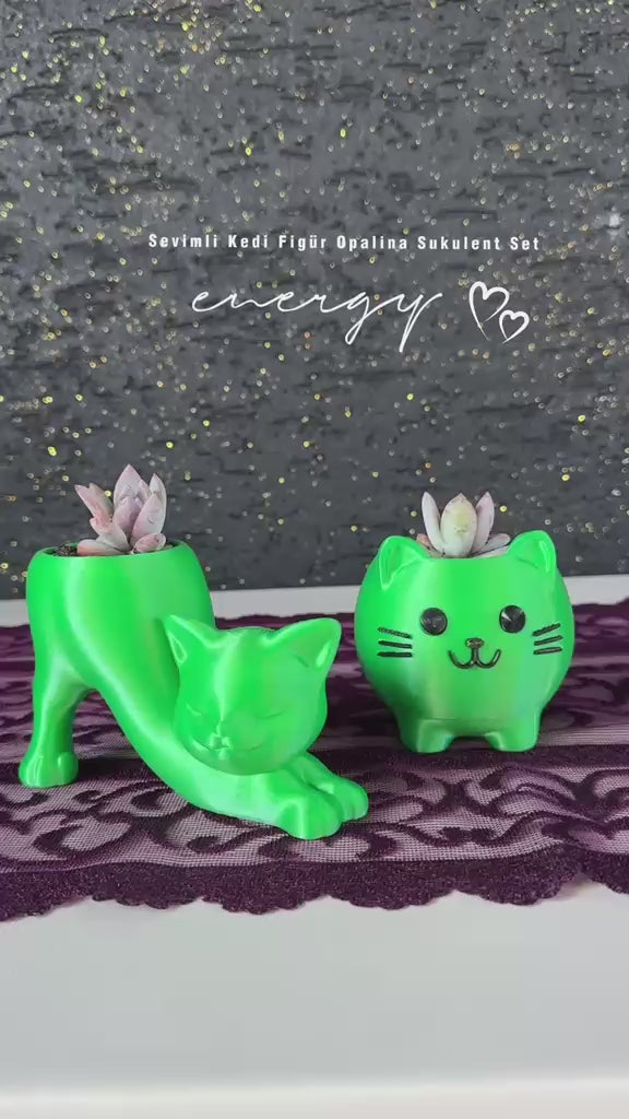 sevimli-kedi-figur-saksi-opalina-sukulent-2li-set-video