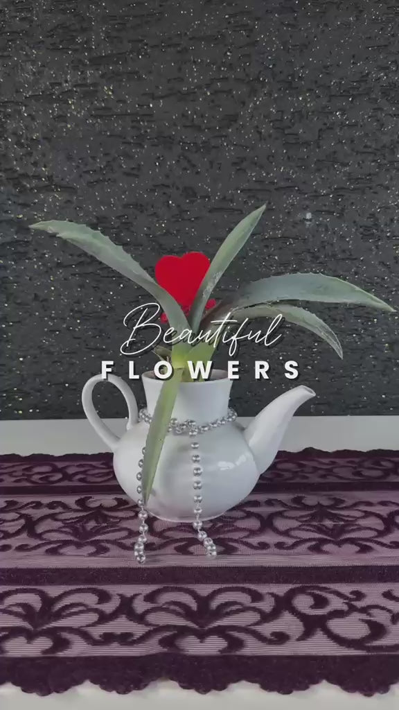 mini-aloe-vera-dekoratif-caydanlik-saksi-video