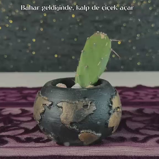 mini-opuntia-kaktus3video