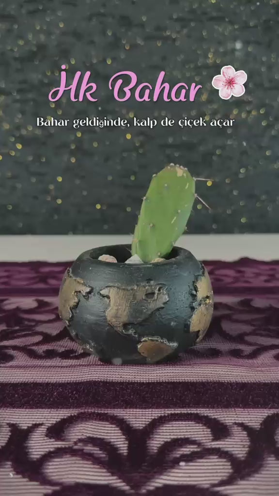 mini-opuntia-kaktus3video