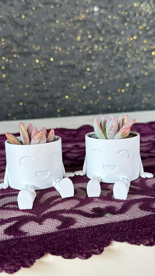 sallanan-ayakli-figur-sukulent-seti5