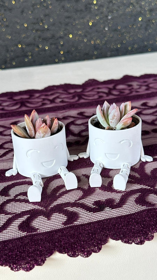 sallanan-ayakli-figur-sukulent-seti6