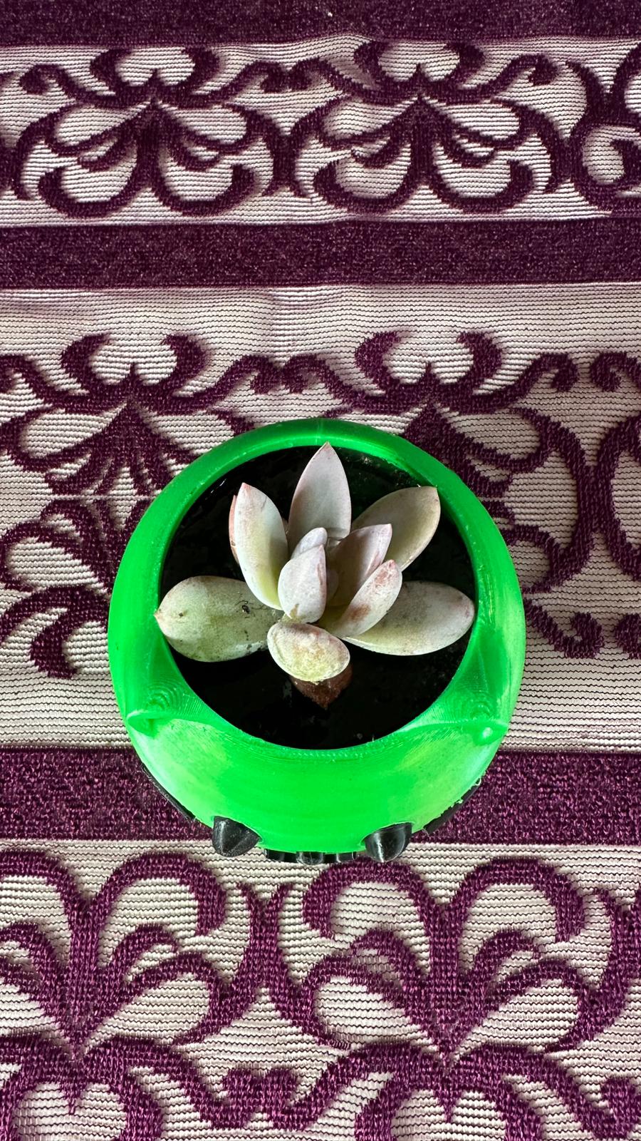 sevimli-kedi-figur-saksi-opalina-sukulent-2li-set3